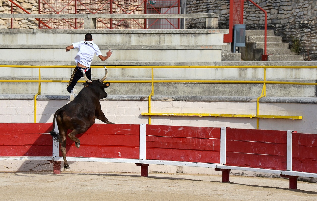 奮力爭勝的