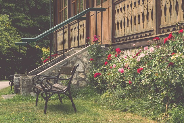 这对俄罗斯 这对俄罗斯