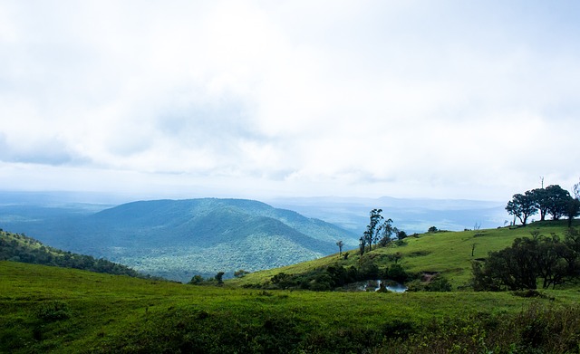 如果雷霆能 如果雷霆能
