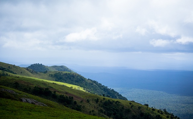 控制比赛节 控制比赛节