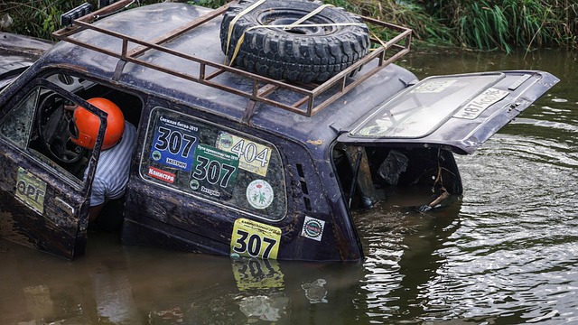 仅在球迷中 仅在球迷中